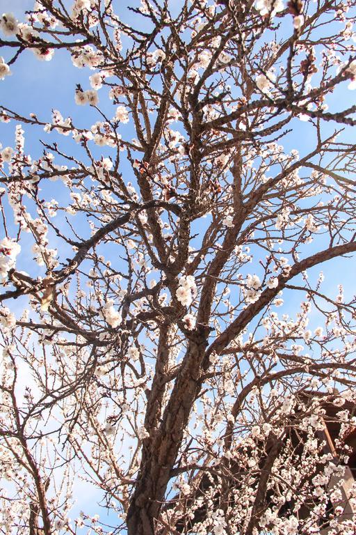 Finca Terrada تشاكراس دي كوريا المظهر الخارجي الصورة